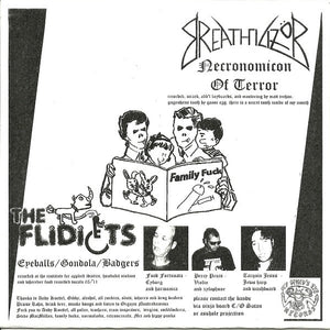 Breathilizör / The Flidiots: Split 7"