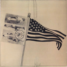 Brown Sugar: Sings Of Birds And Racism 12"
