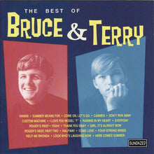 Bruce & Terry: The Best Of Bruce & Terry CD