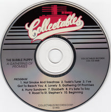 Bubble Puppy: A Gathering Of Promises CD