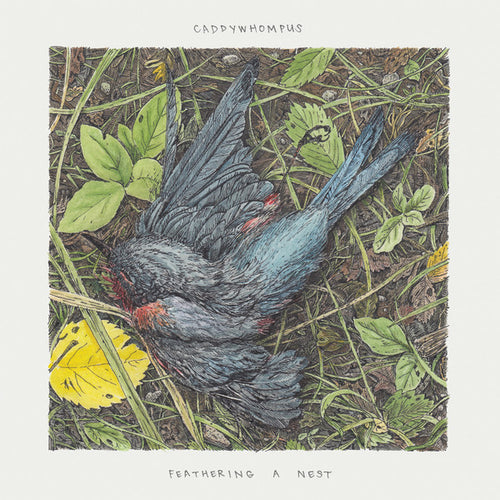 Caddywhompus: Feathering A Nest 12