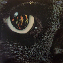 Cat: S/T 12"