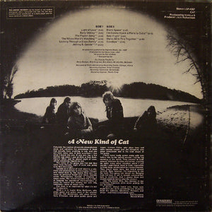 Cat: S/T 12"