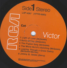 Cat: S/T 12"