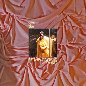 Cate Le Bon: Michelangelo Dying 12"