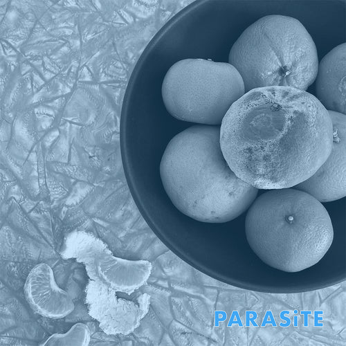 Cell Rot: Parasite 12