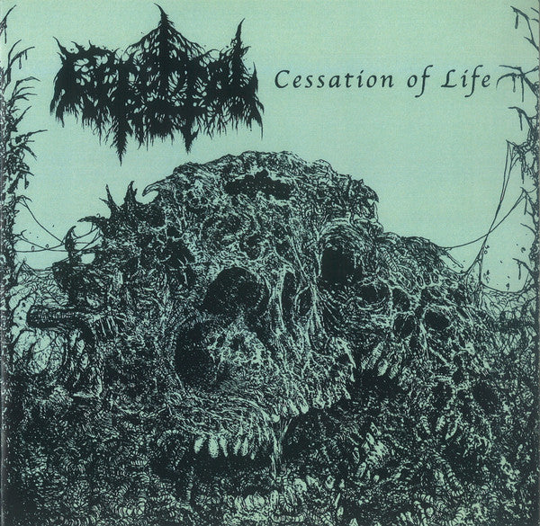 Cerebral Rot: Cessation Of Life 7