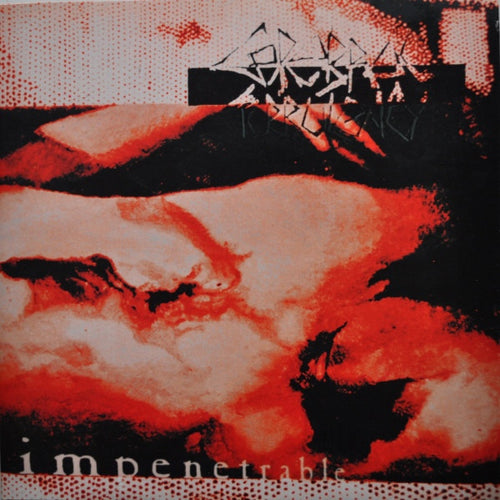 Cerebral Turbulency: Impenetrable 12