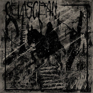 Cetascean: S/T 7"