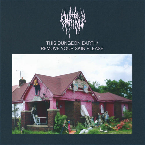 Chat Pile: This Dungeon Earth / Remove Your Skin Please 12