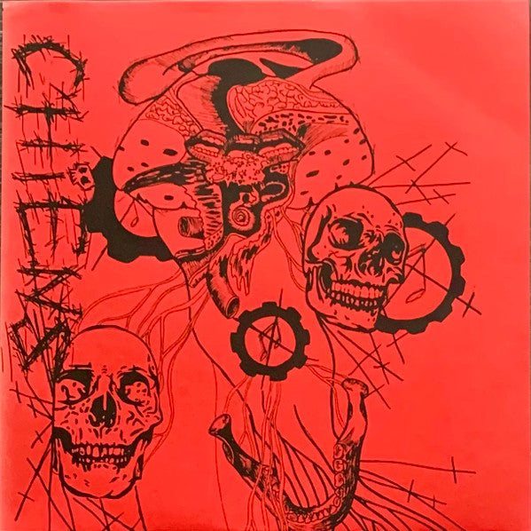 Chiens: S/T 12