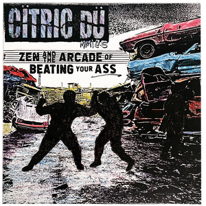 Citric Dummies: Zen and The Arcade of Beating Your Ass 12"
