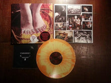 Coachwhips: Hands on the Controls 12"