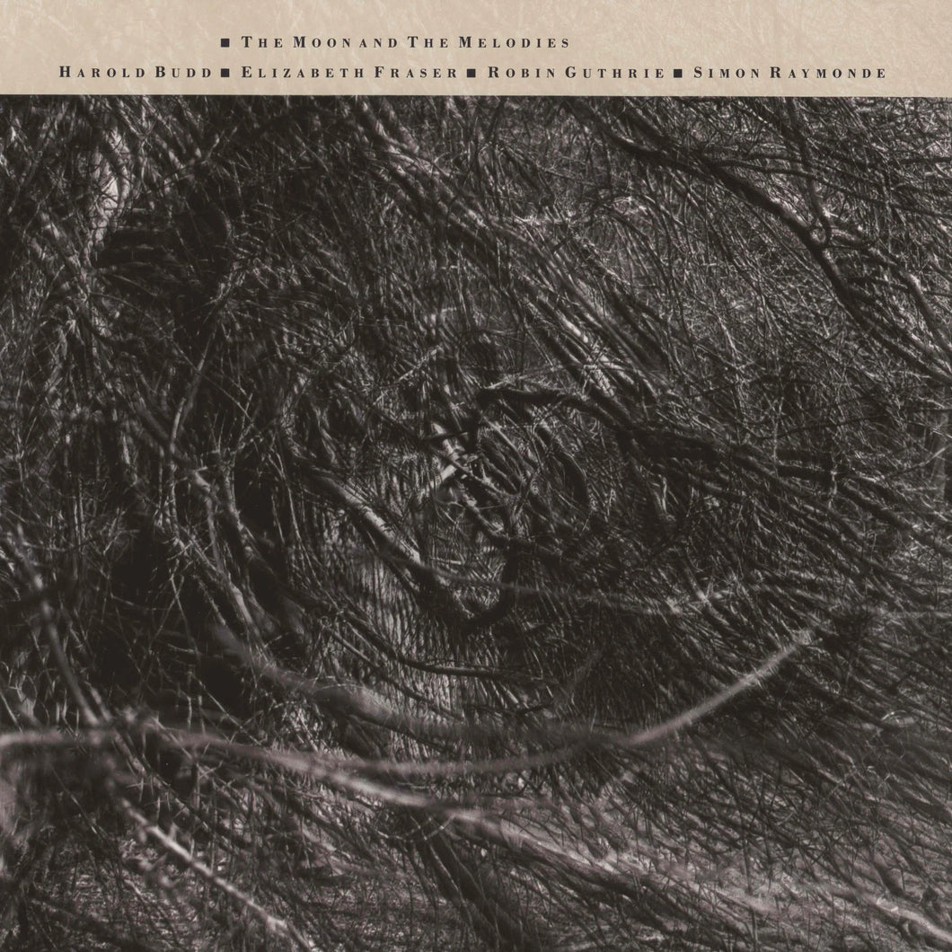 Cocteau Twins & Harold Budd: The Moon and The Melodies 12