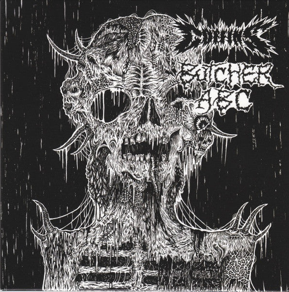 Coffins / Butcher ABC: Split 7