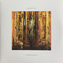 Comit: Remote Viewing 2x12"