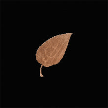 Crystal Stilts: Nature Noir 12"