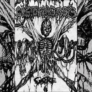 Cystoblastosis: Gore 7"