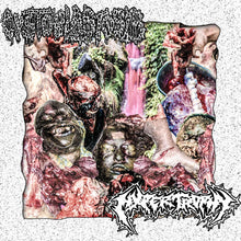 Cystoblastosis / Hypertrophy: Split cassette