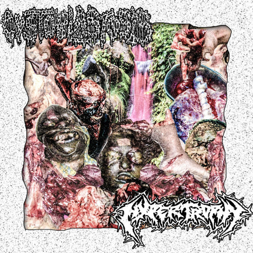 Cystoblastosis / Hypertrophy: Split cassette