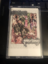Cystoblastosis / Hypertrophy: Split cassette