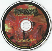 Cystoblastosis: Post-Mortem Examination Of Putrid Corpse CD