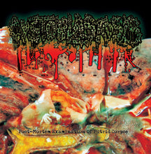 Cystoblastosis: Post-Mortem Examination Of Putrid Corpse CD