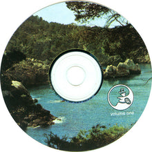 Daevid Allen & Euterpe: Studio Rehearsal Tapes 1977 CD