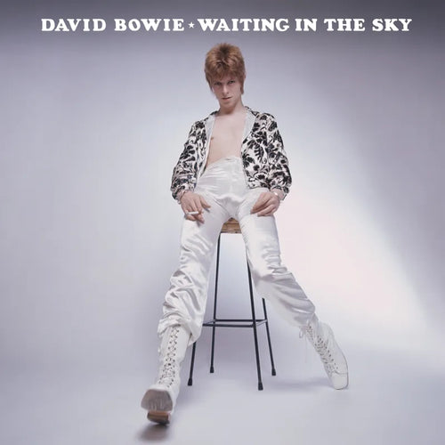 David Bowie: Waiting In The Sky 12