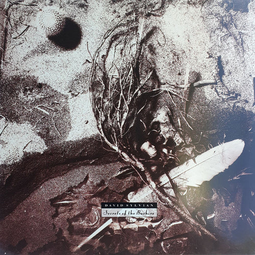 David Sylvian: Secrets Of The Beehive 12