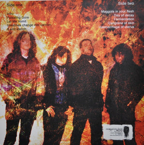 Dead Infection: World Full Of Remains 12"