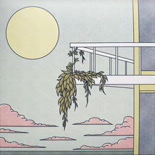 Decisive Koala: Views 12"