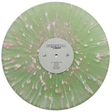 Decisive Koala: Views 12"