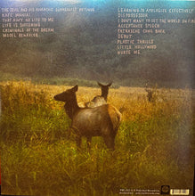 Deerhoof: The Magic 12"