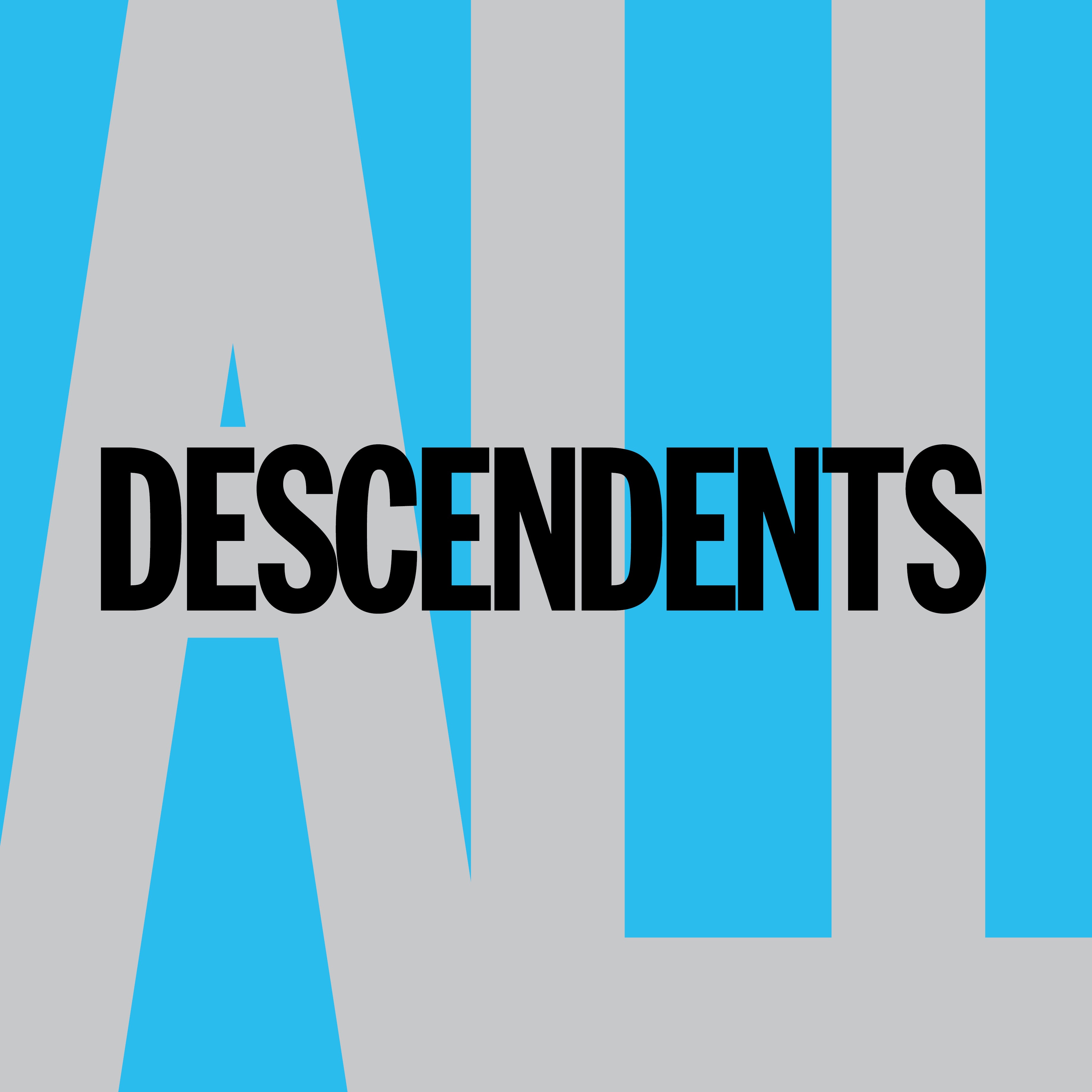 DESCENDENTS CDコレクション12枚 Descendents: All 12
