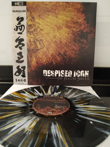 Despised Icon: The Healing Process 12