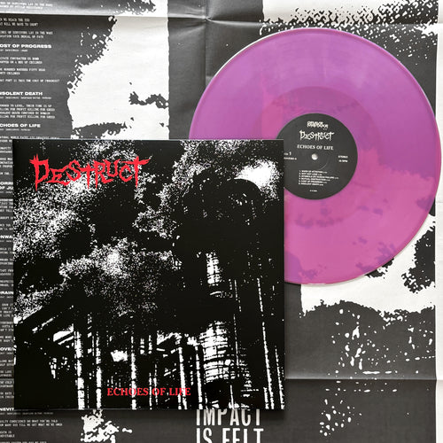 Destruct: Echoes of Life 12