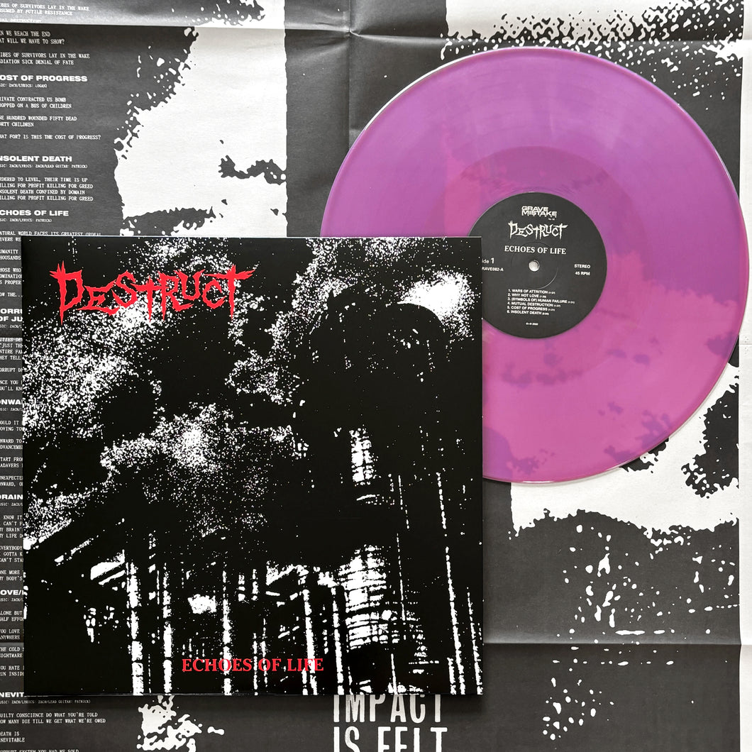 Destruct: Echoes of Life 12