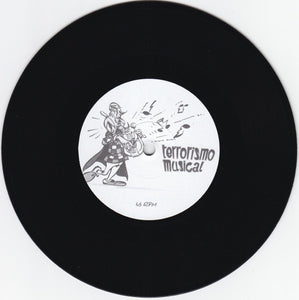 Disturbance Project / Terrorismo Musical: Split 7"
