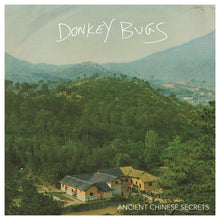 Donkey Bugs: Ancient Chinese Secrets 12"