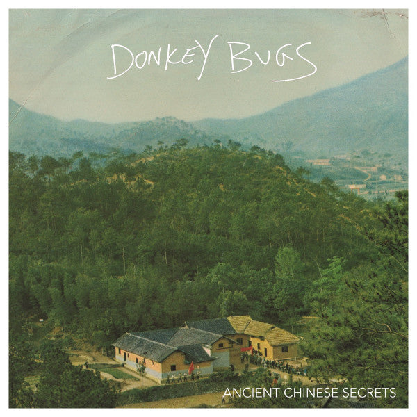 Donkey Bugs: Ancient Chinese Secrets 12