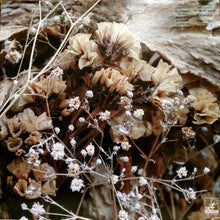 Drowse: Cold Air 12"