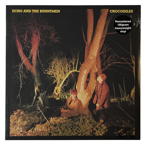 Echo & The Bunnymen: Crocodiles 12