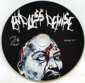 Endless Demise: Past The Point Of Punishment CD