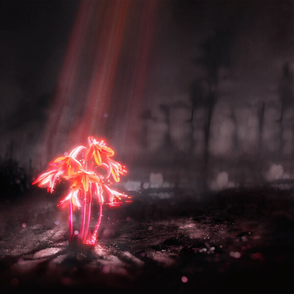 Enter Shikari: A Kiss For The Whole World 12