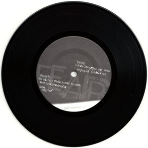 Fear Is The Path To The Dark Side: Someday... This War Is Going To End... 7"