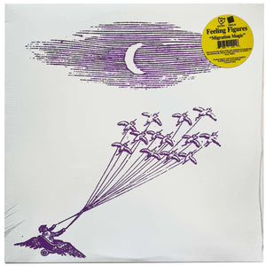 Feeling Figures: Migration Magic 12"