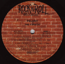 Felony: The Fanatic 12"