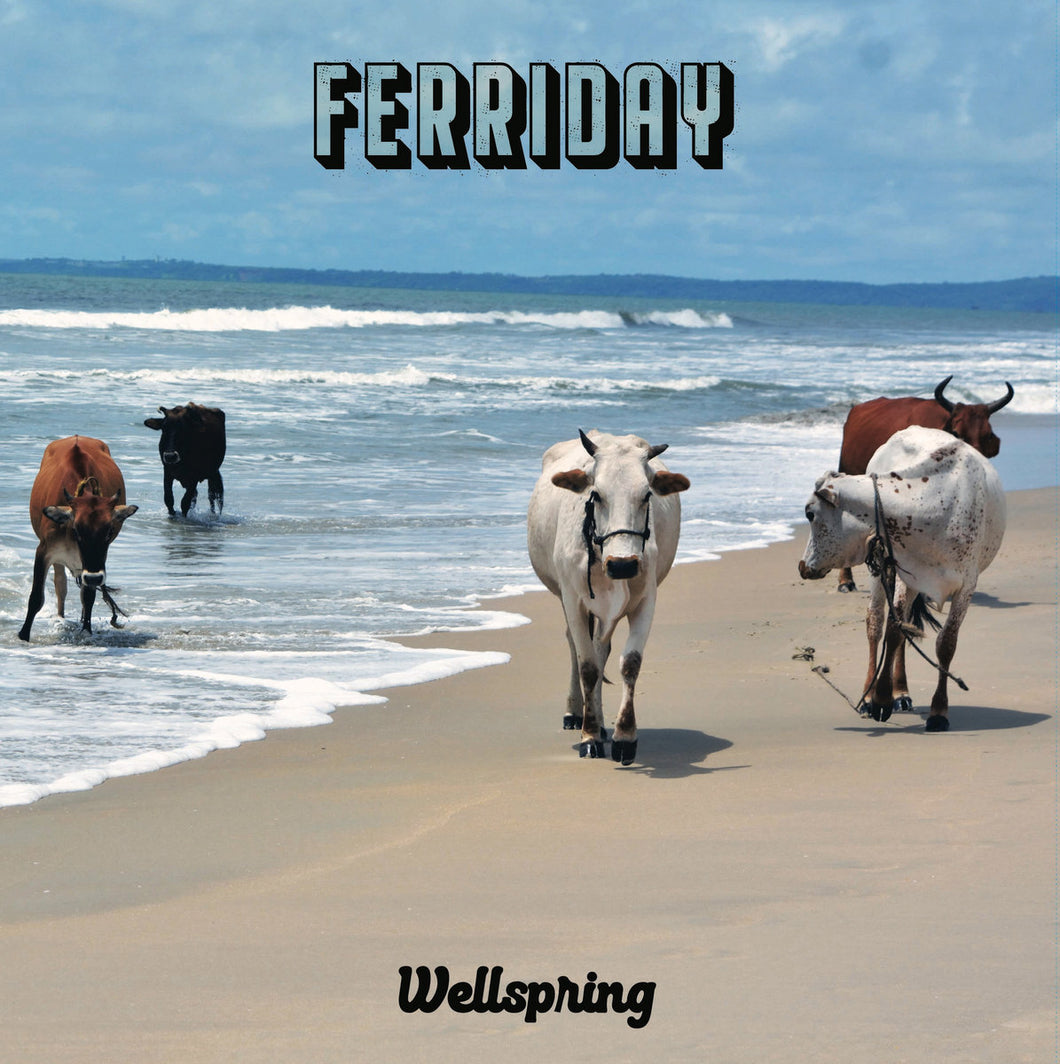 Ferriday: Wellspring 12
