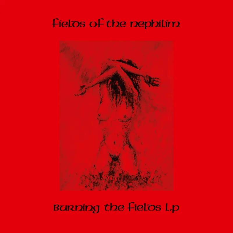 Fields Of The Nephilim: Burning The Fields 12